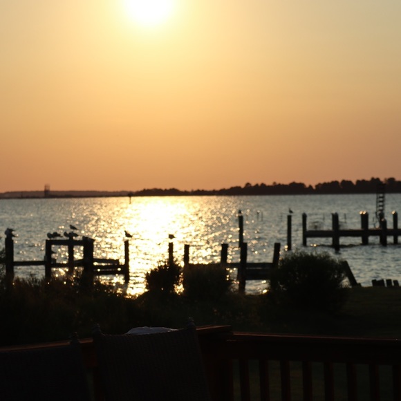 Meet your Posher, Sam - Picture 1 of 1